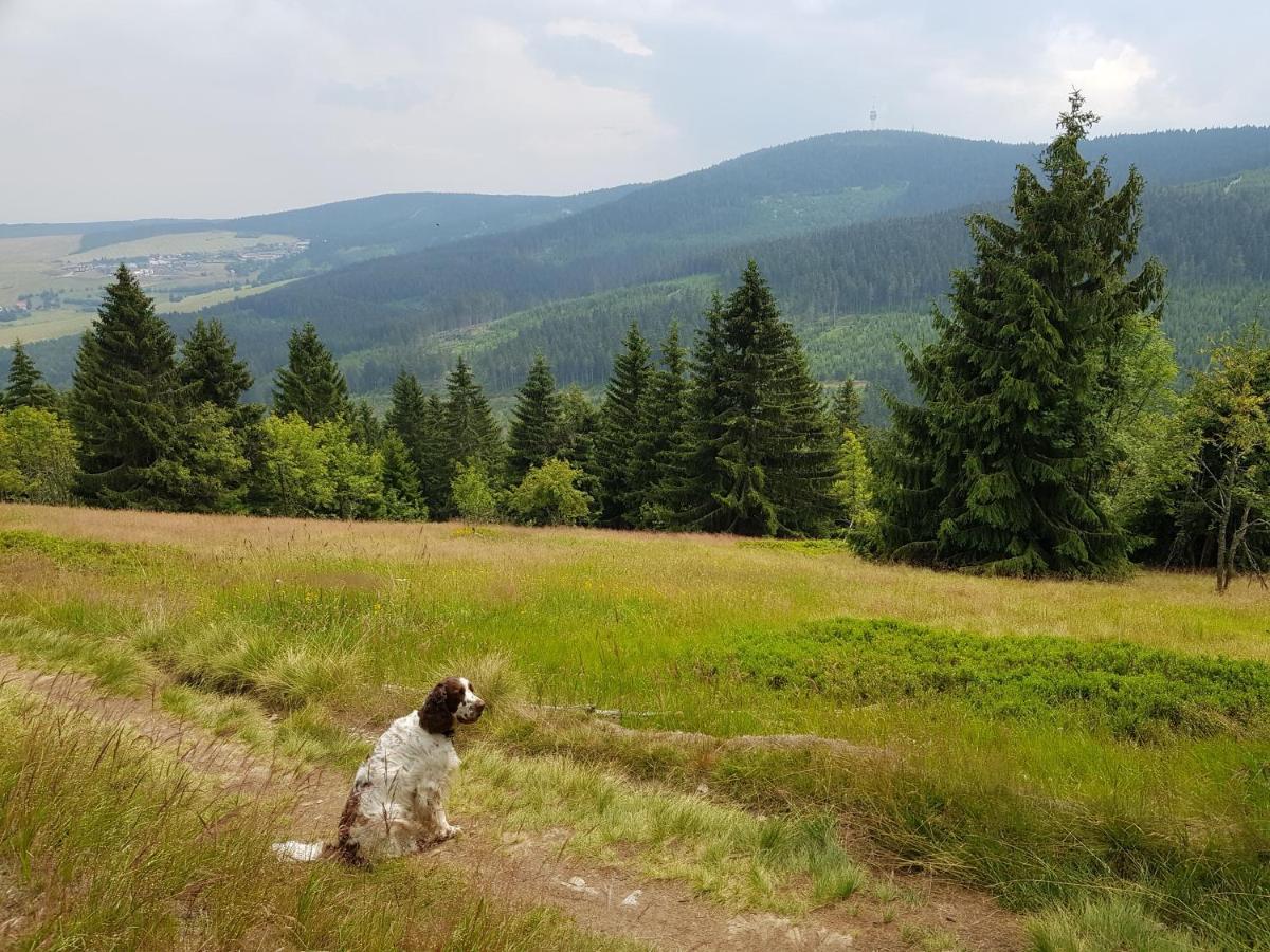 Ferienwohnung Grenzblick Oberwiesenthal Ngoại thất bức ảnh